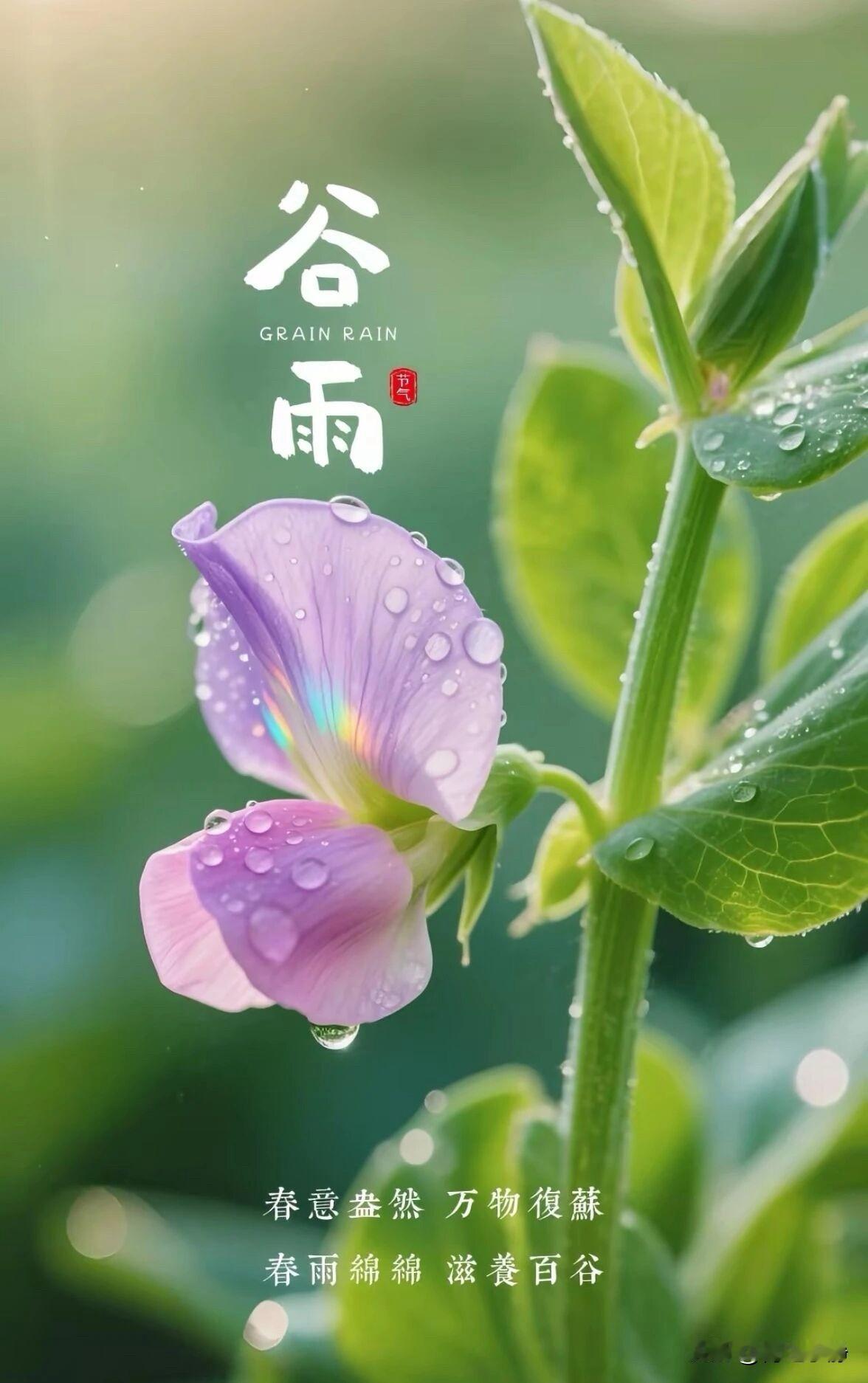 🍎 ²⁰²⁶/₀₄.₂₀ 🧨ᵕ̈ 🐎🍃🌻🍒🍡
🍃Good aft