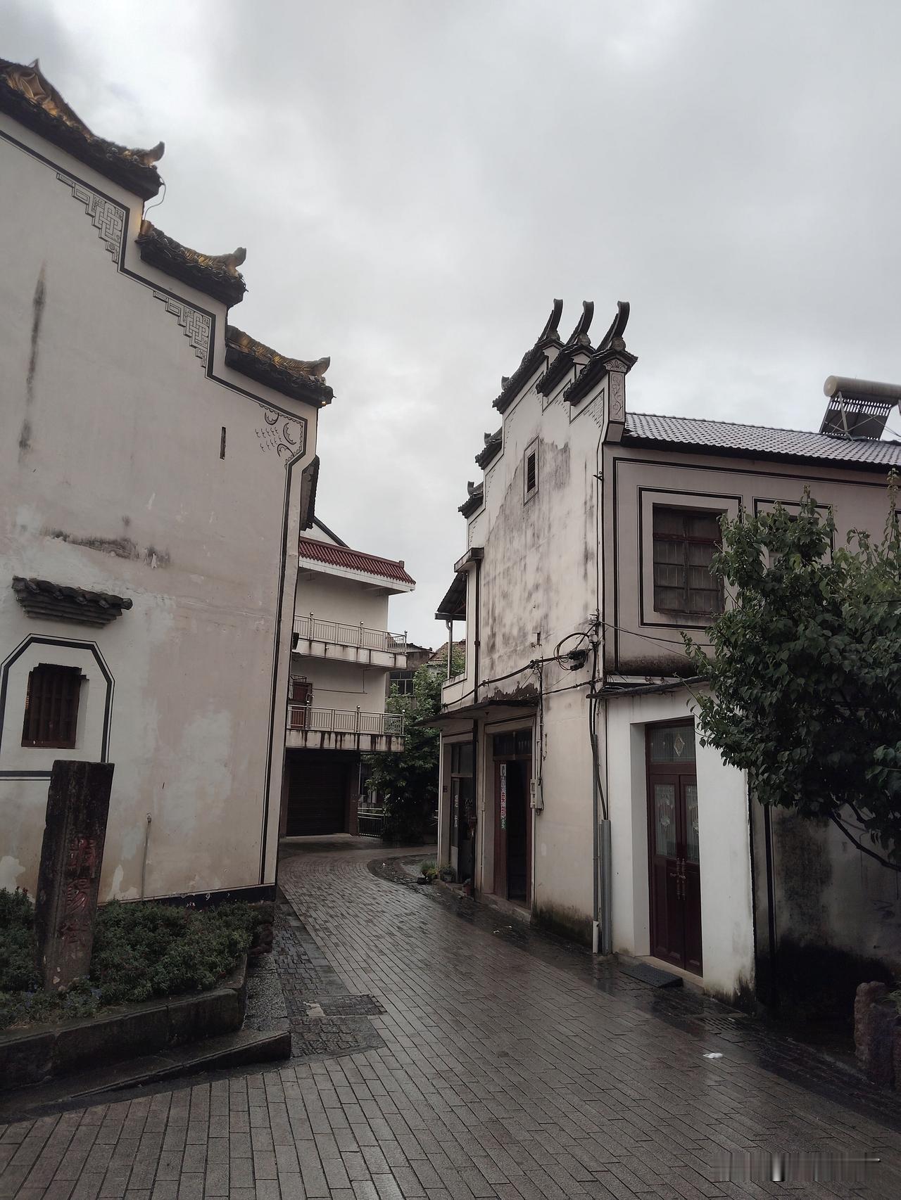 万根大葱。