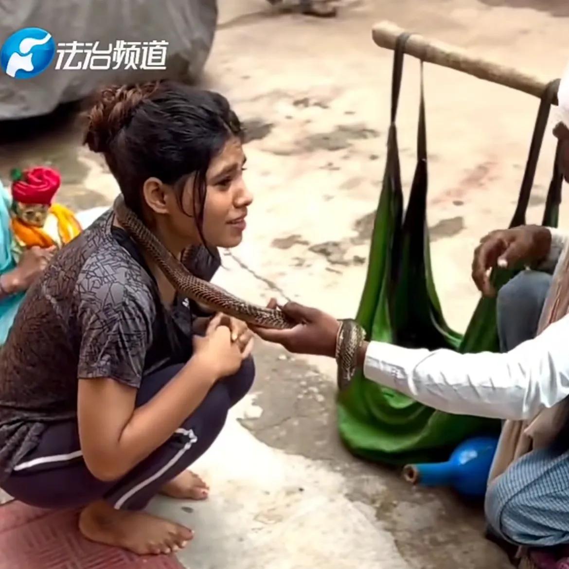 印度“蛇神祝福仪式”，眼镜蛇挂上少女的脖子。

真是每个国家都有自己风俗文化，看