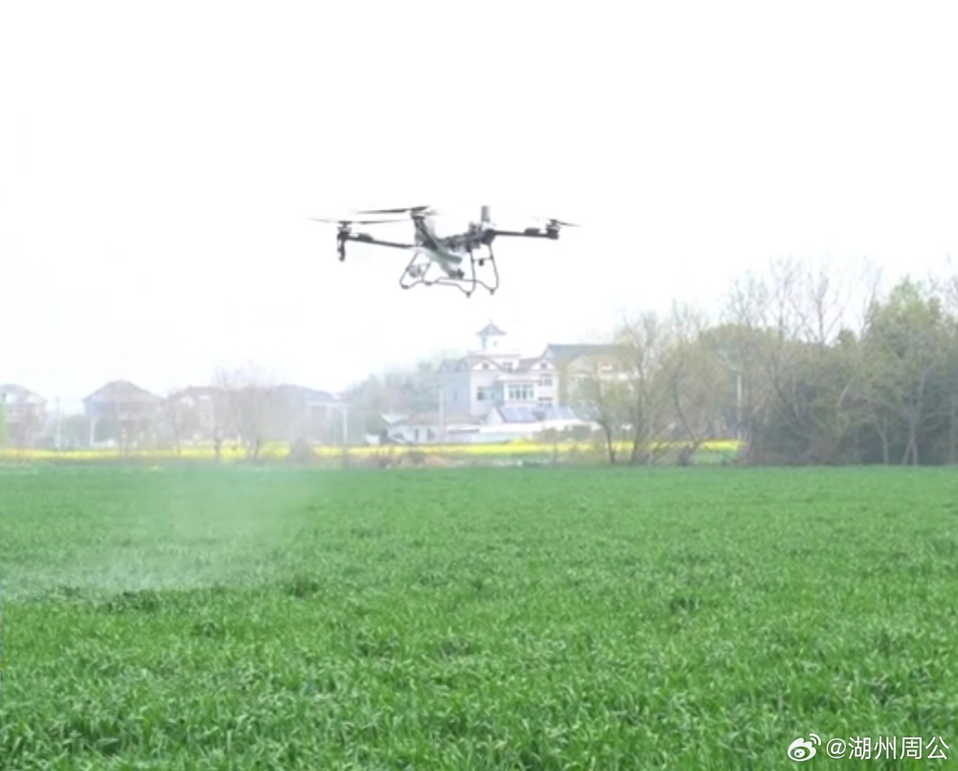 浙江一地黑科技守护粮仓从播种到施肥再到病虫害防治，全程无人机搞定，这才是现代农业