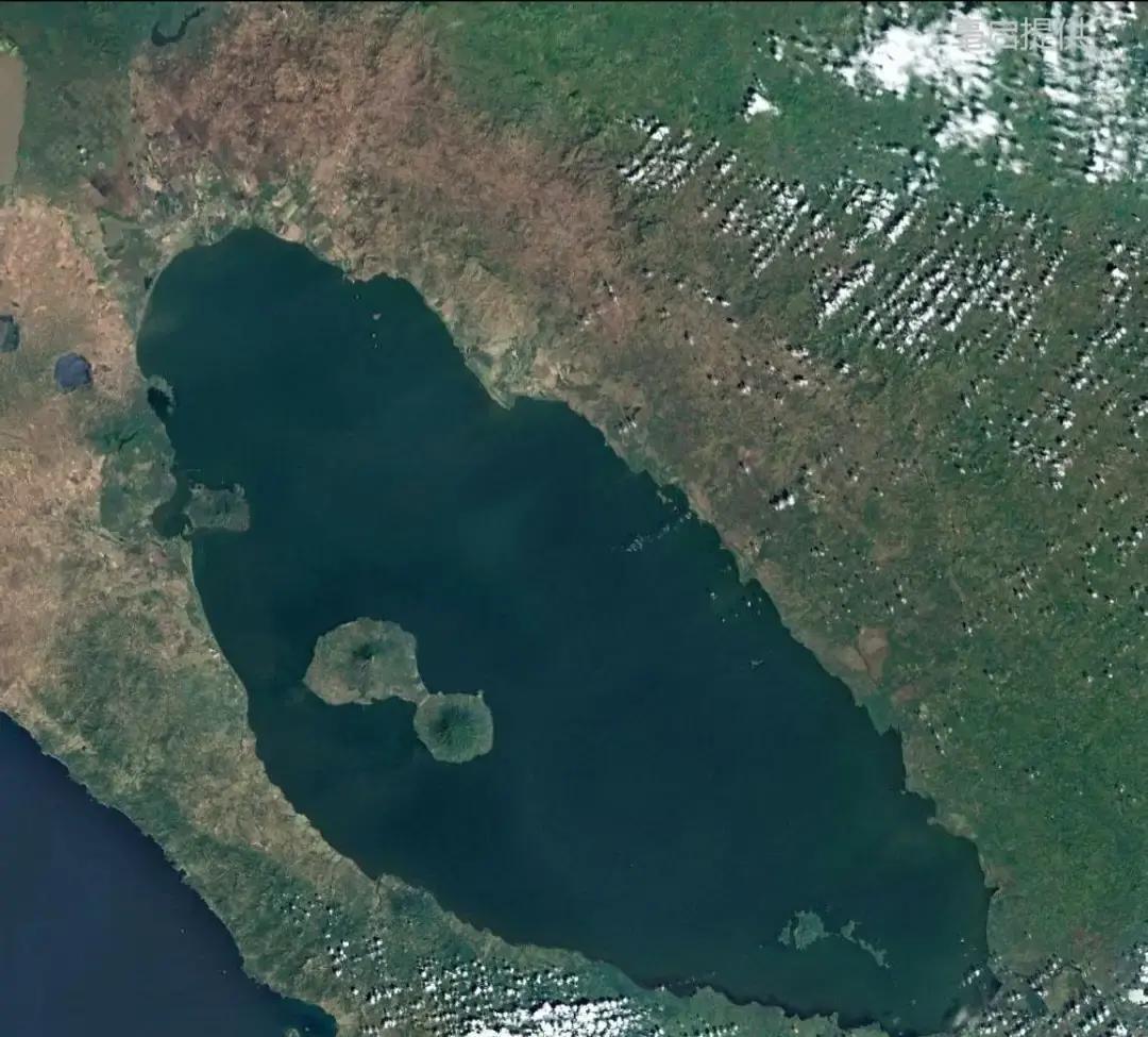 8000多平方公里的淡水湖里游着成千上万条鲨鱼，这事儿听着像不像天方夜谭
但这在