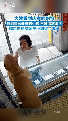 “看哭了！”山西太原，一女子到店里买东西，看到桌上趴着的狗狗后，她想到自己去世的