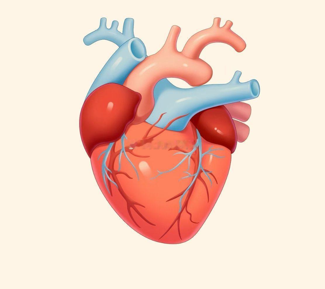 医案分享-辛老师反复感冒、发烧🤒患者反复发烧，喝药也只能暂时性缓解甚至到了后面