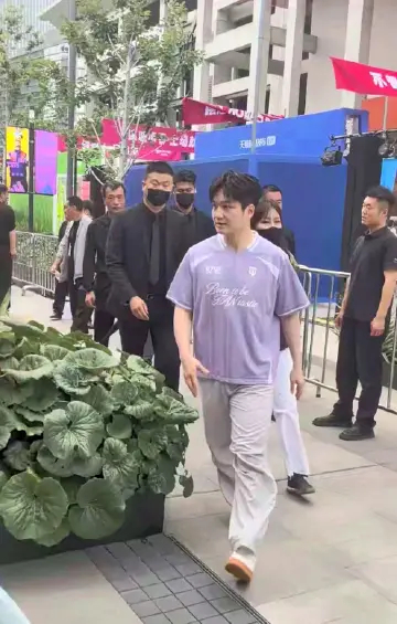 今天的9248紫色清爽东 