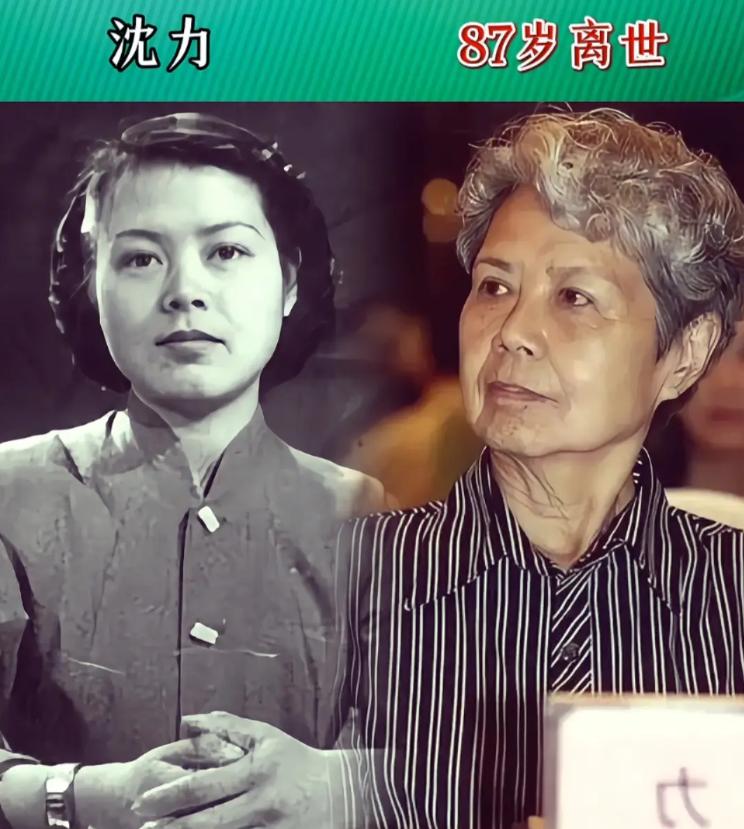 央视主持人沈力，事业圆满，晚年嫁给初恋，一生忙着工作对儿子有亏欠。
央视主持人王