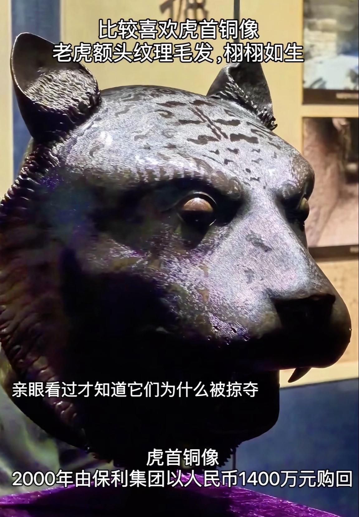 为什么我的眼里常含泪水，因为我对这片土地爱的深沉 当我看到他们的时候...