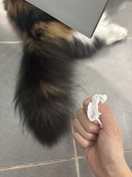 人，安心拉吧