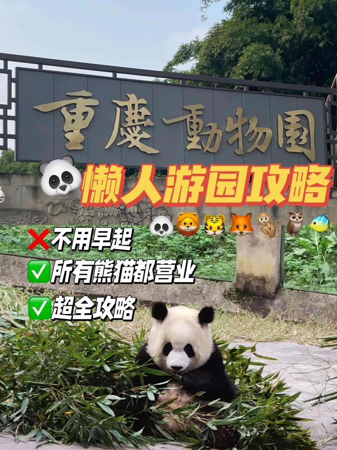 重庆动物园超全攻略✅（懒人版