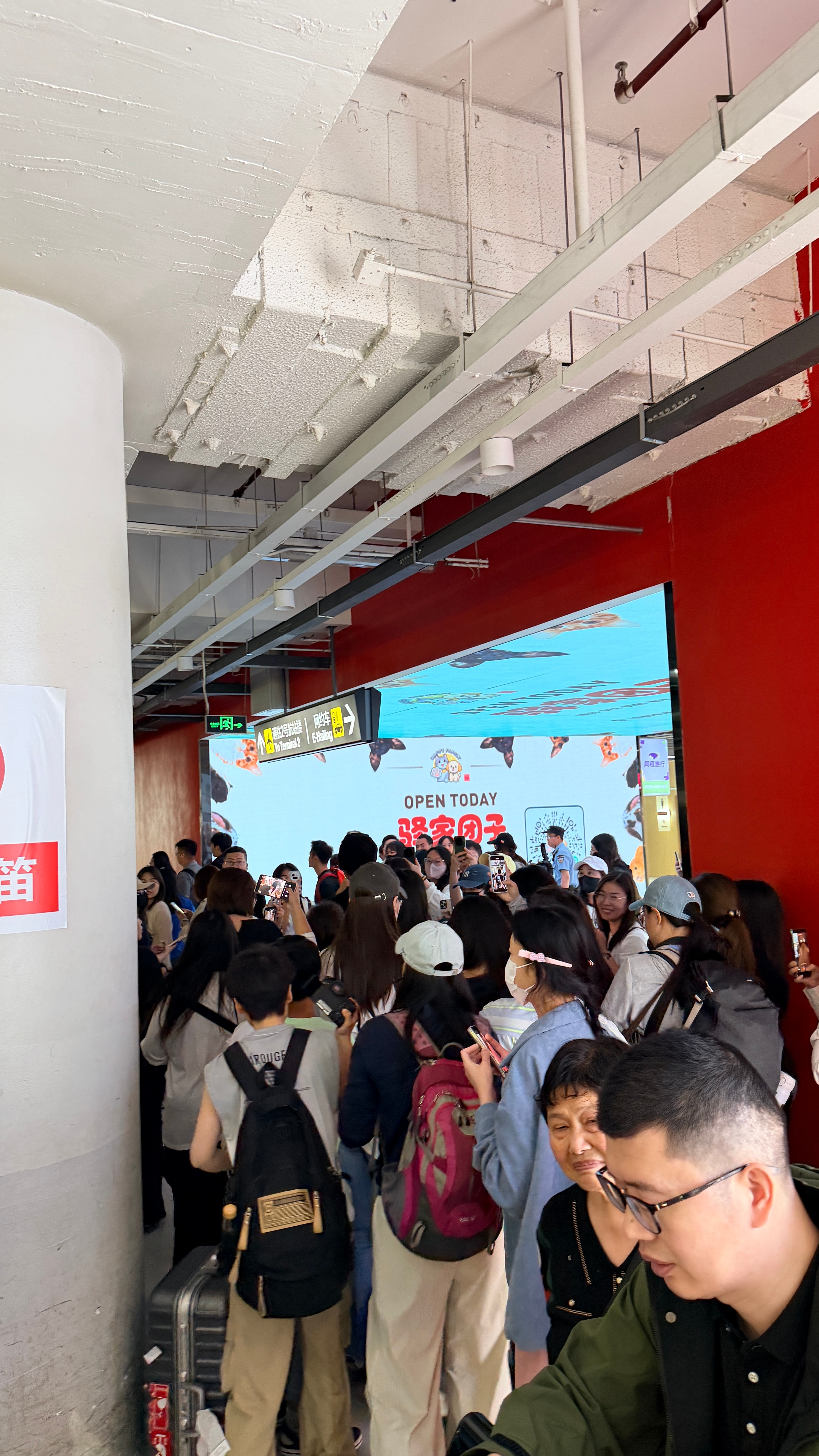 又来了 好多疯狂的迷妹哦 北京·首都机场T2航站楼