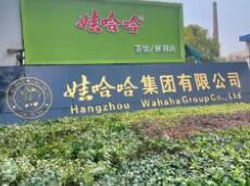 这事儿前几天闹得沸沸扬扬，说娃哈哈核心成员严学峰被调查了。现在最新消息是，人家1