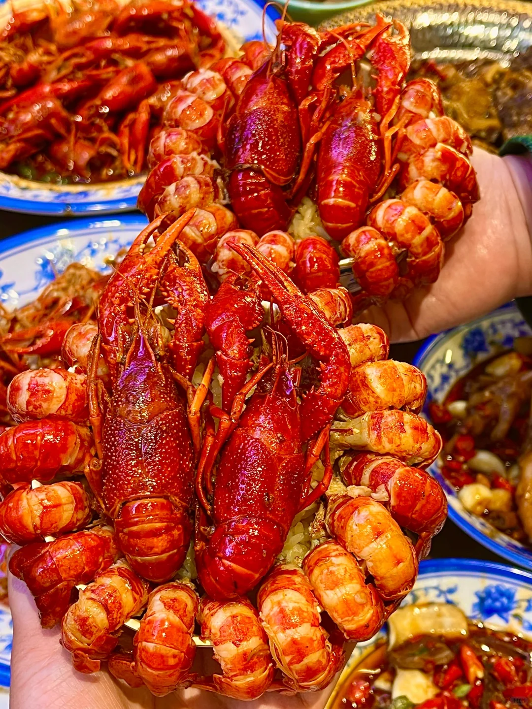 卧卧卧！！上海终于有了啊！！！