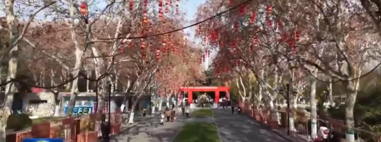 新年的氛围在城市里悄然铺展，枯枝上挂满红橙相间的灯笼，彩色圆灯点缀其间，在蓝天映