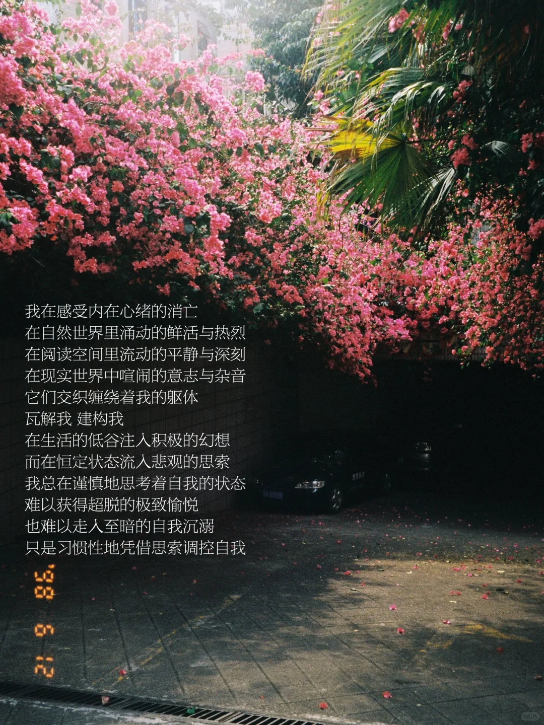 随笔｜我像个不间断的人 平静地感受一切