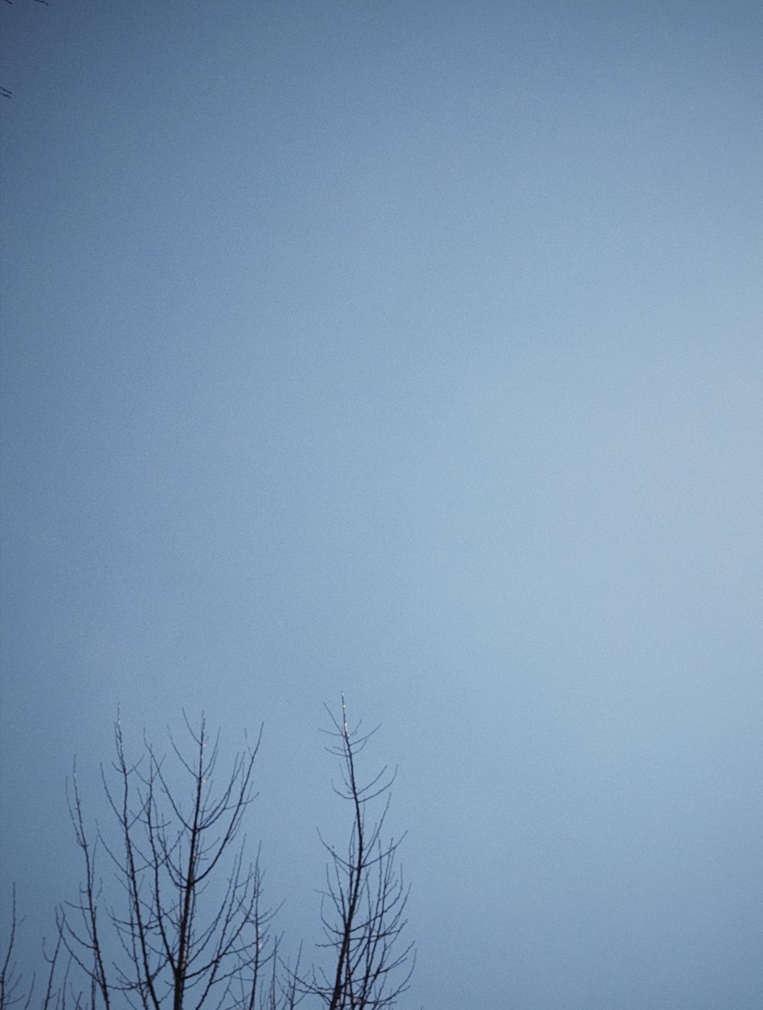 张彬彬的一组日常～“在好天气 拍个ootd” 