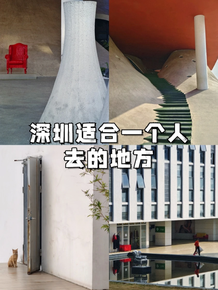深圳适合一个人去的地方（48/100）