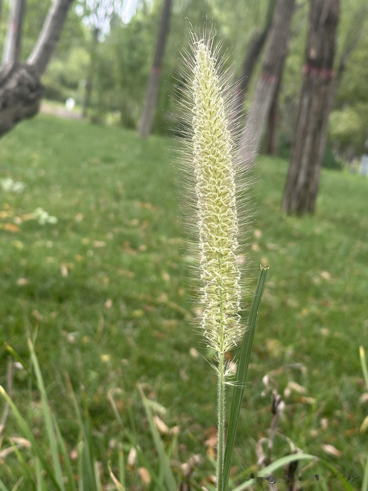 夏天过去，秋天已经上场了。

又到了换季的时候，收拾夏天的衣服，找出秋天的衣服，