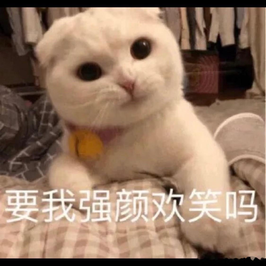 泸溪河桃酥 牙冠小饼干爱好者天堂碎了，泸溪河桃酥你最好是假的