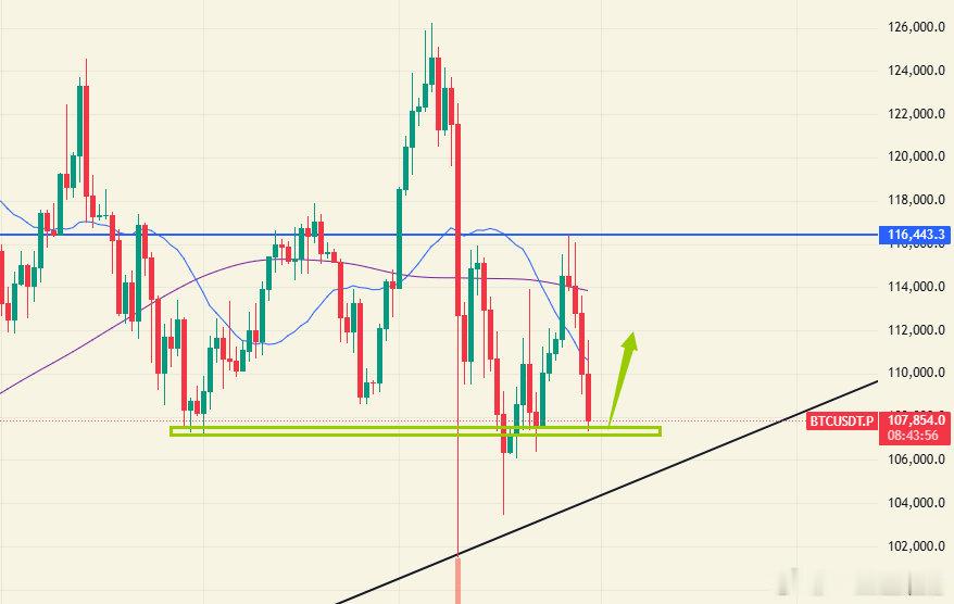 BTC看点10.30：日线回踩重要支撑107000附近，此时不抄底更待何时？比特