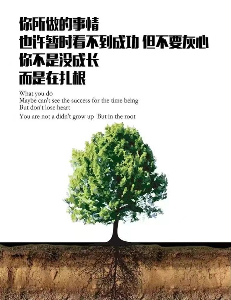 没必要在什么都没做的时候，去纠结自己努力和付出的意义～ 等你真的做到了自然会明白