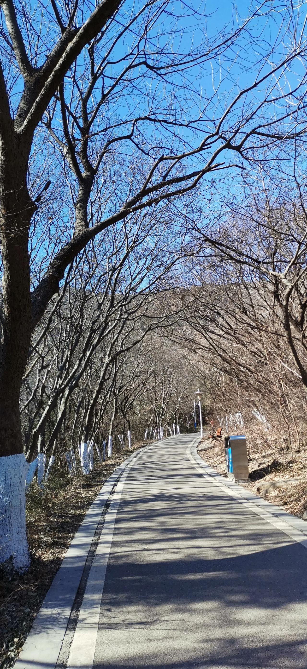 随手拍原创图