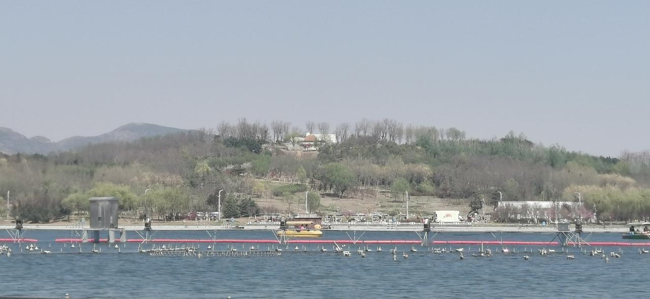 龙泉湖湿地公园春意正浓，远山如黛，湖光山色，好一派壮丽景色。