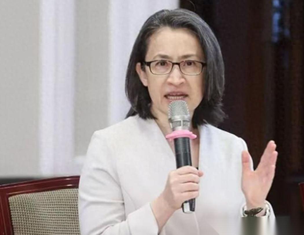 在赖清德返回台湾当天，顽固“台独”分子萧美琴接受电视专访时叫嚣：非得给华盛顿疯狂