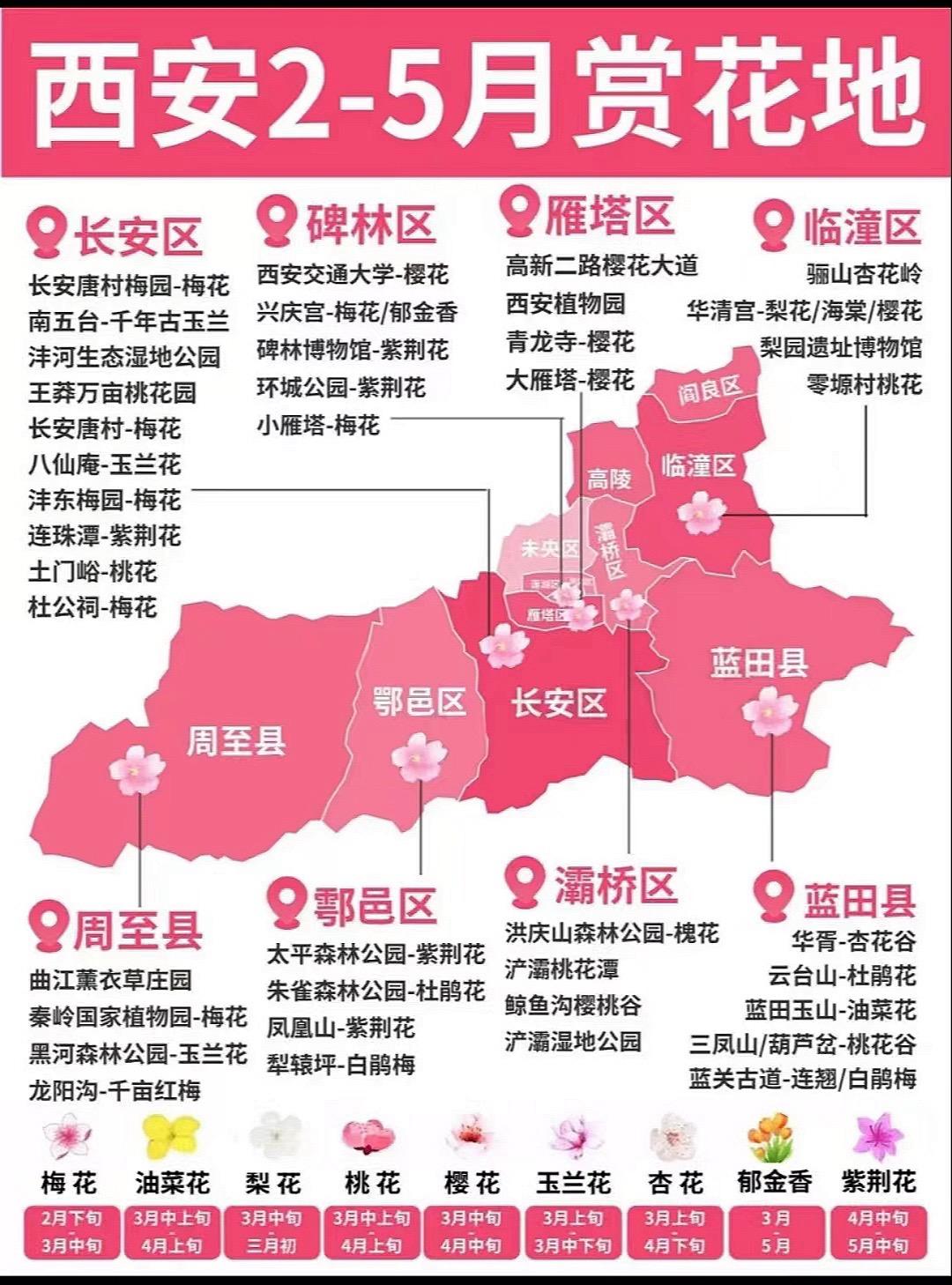 与春天有约！西安春天赏花季已经来啦！