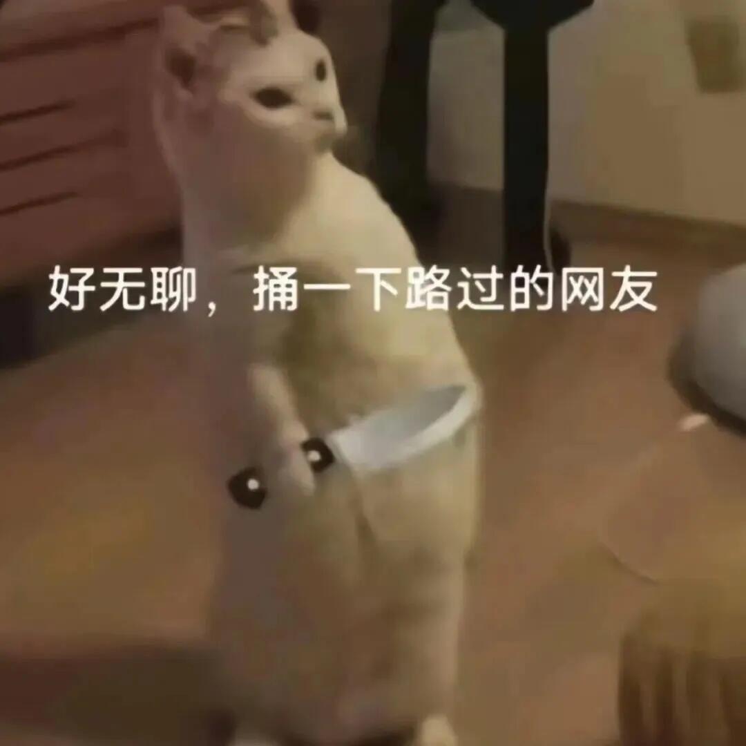 无聊到极致，身边人都为了工作而忙碌奔波，只有自己是一个闲人，找不到人聊天找不到人