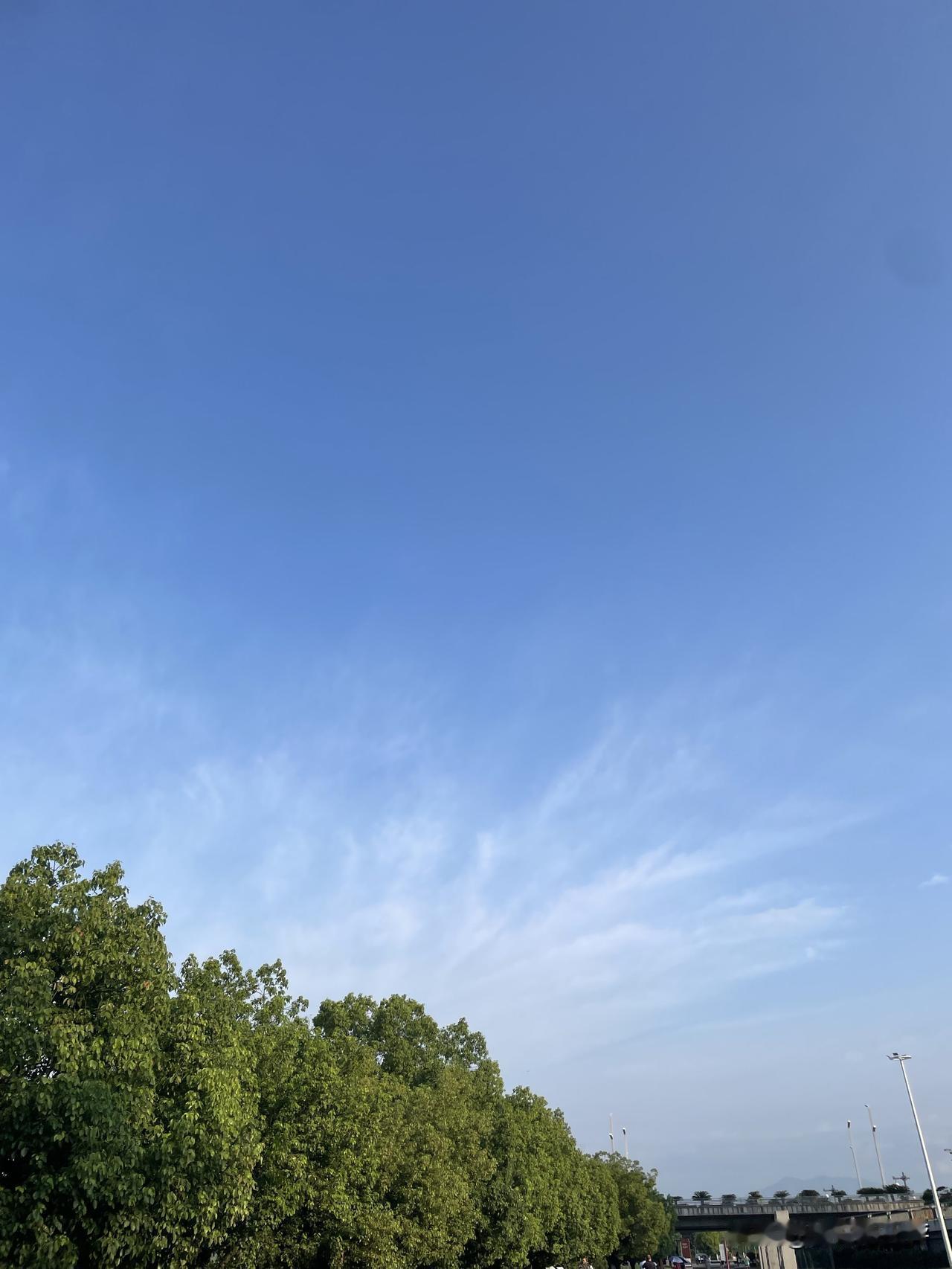 虽说是秋日了，蓝天白云挺美，只是热得依然难受。
昨天又是一晚上空调，不然睡不成觉