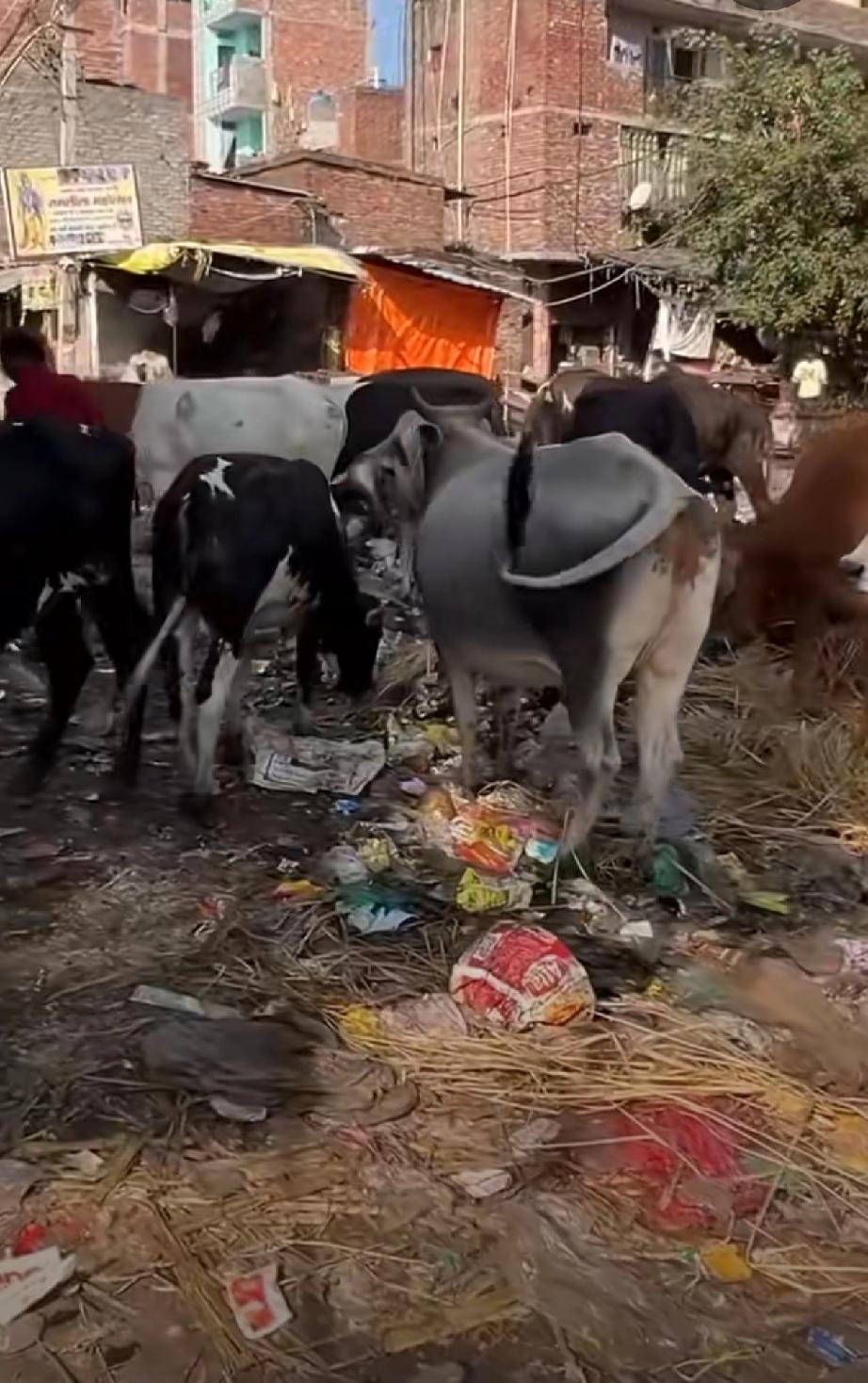 印度:按照全球营业额10%进行处罚

简单粗暴的方案，苹果是新法案第一个受用者，