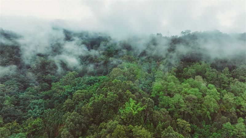 [诗联撷趣]
青春未久长，格物至洪荒。
锦上添花易，云中踏月强。