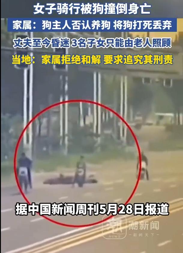 女子被狗撞倒身亡主人将狗打死，不承认是狗主人，而这起事件导致女子身亡，丈夫至今昏