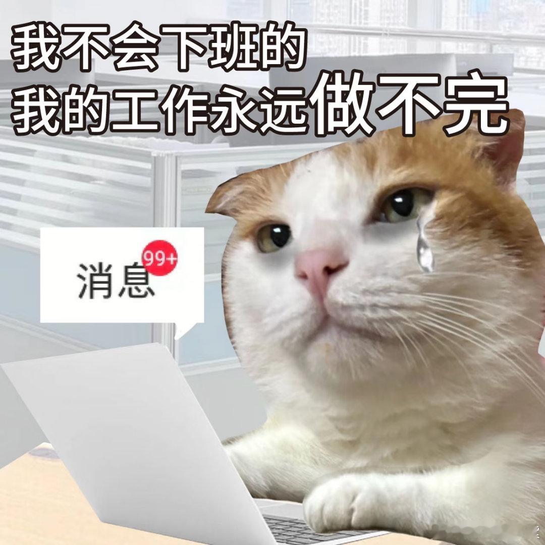 国内一年仅卖2763万台彩电我感觉主要是大家呆在家的时间太短了，都没时间看电视