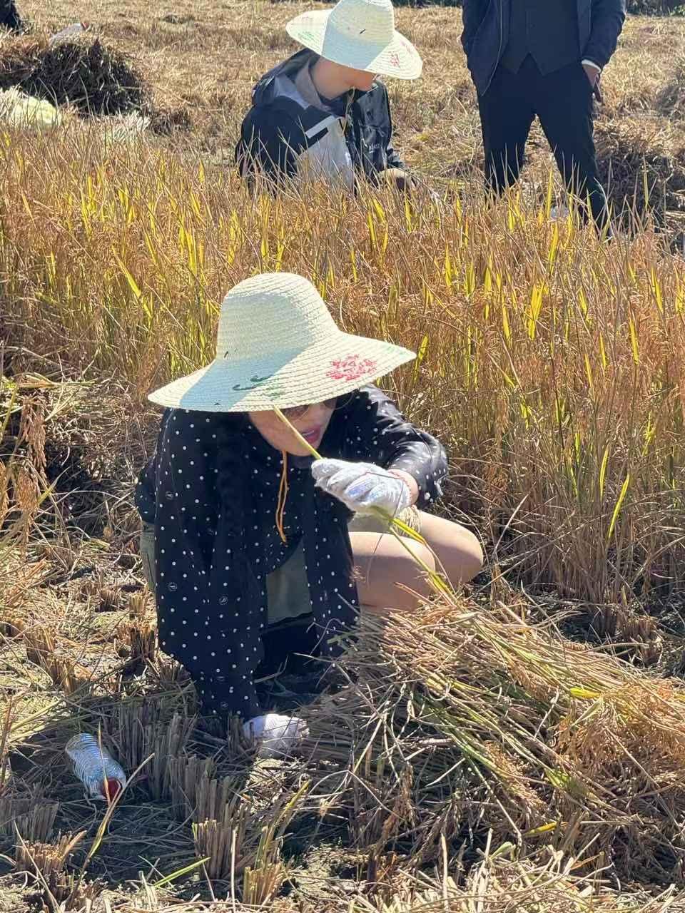 重生之我担在非洲务农 花少7全员务农风穿搭，直接把入乡随俗玩明白了，这造型太绝！