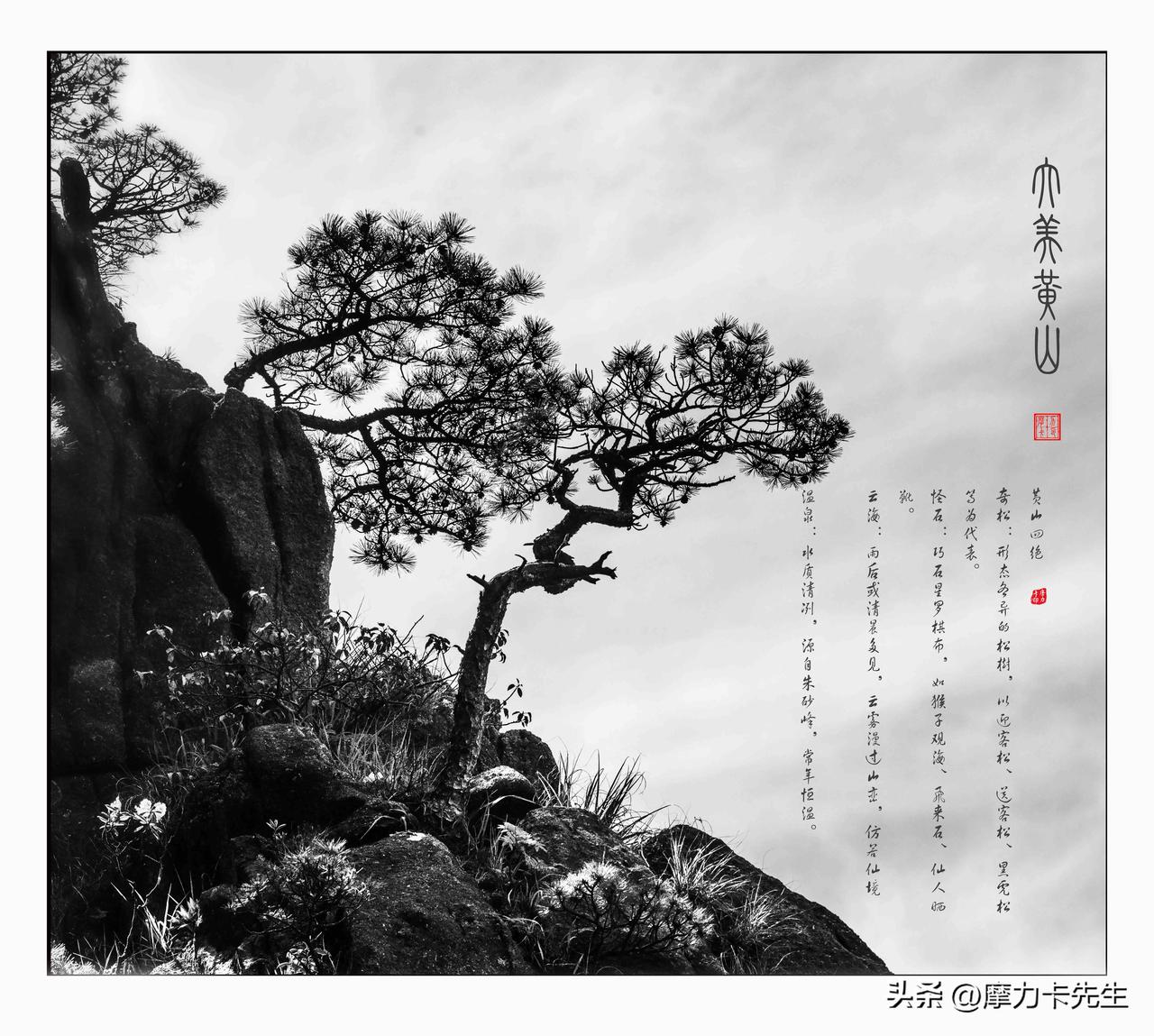黄山之美，藏于奇松怪石的风骨里，隐于云海翻涌的留白间。苍松破石而出，虬枝如墨笔，