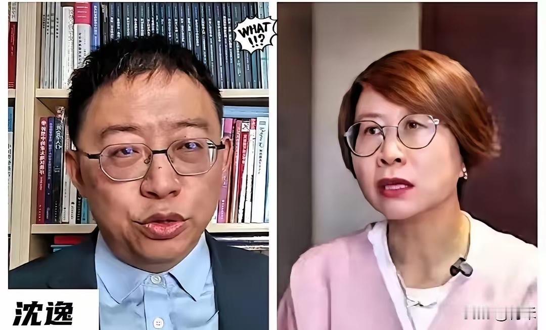 嘴上人权、心里生意！ ​赵宏这事儿挺让人唏嘘——被瑞典连续近20年的资助“绑”住