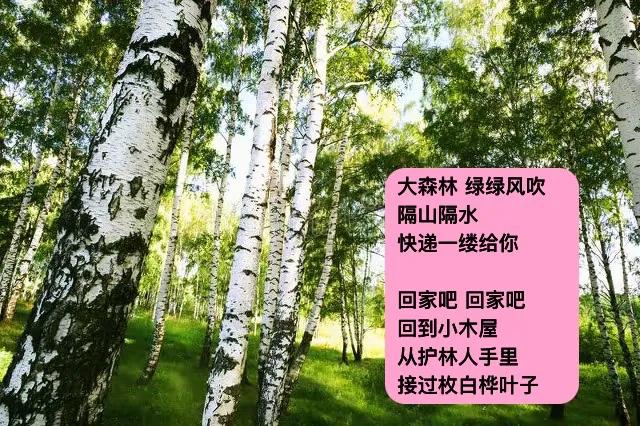 一只鹿跑过来
昨夜风吹
天河落下几颗星
它衔来给我
．
与心上微光汇流
站在金莲
