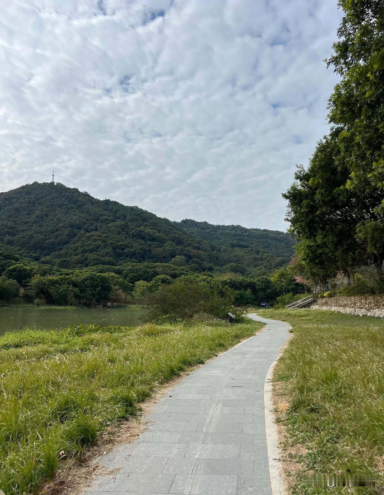 登风云岭

风云岭，从化街口的“名山”，犹如广州的白云山，其山景一是林密，二是山