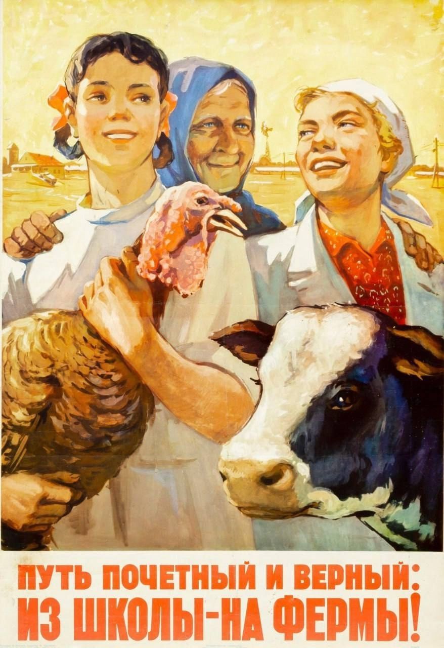 1958年，苏联宣传海报：“光荣而正确的道路——从学校走向农庄！”。 ​​​