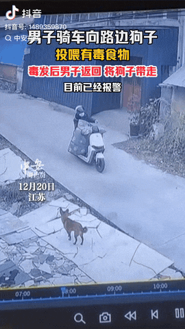 江苏，一名男子骑着电动车向路边的小狗投喂食物，刚开始以为他好心救助小狗，没想到小