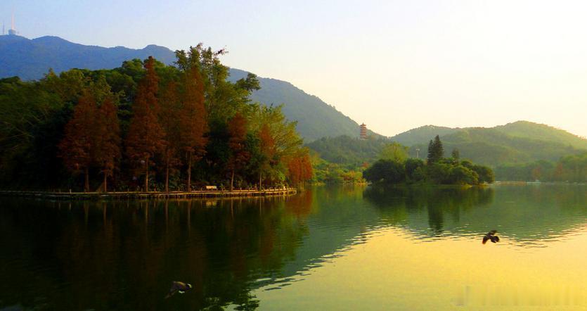 【仙湖植物园】深圳仙湖植物园是一处与世隔绝的人间仙境，是自然风光与园林艺术的结合