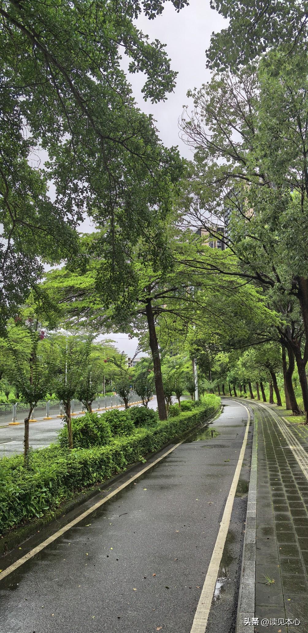 这话，毒是真毒，准也是真准：
“与穷人结婚，你会负责他的愚昧、负债、灾难，以及他