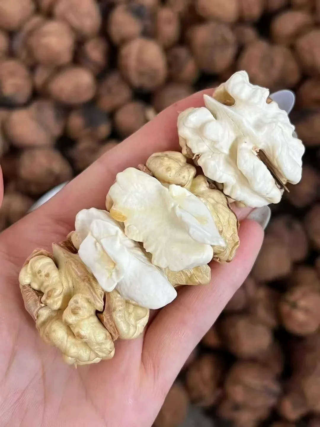 新鲜老树香甜核桃，亏米试吃300箱！