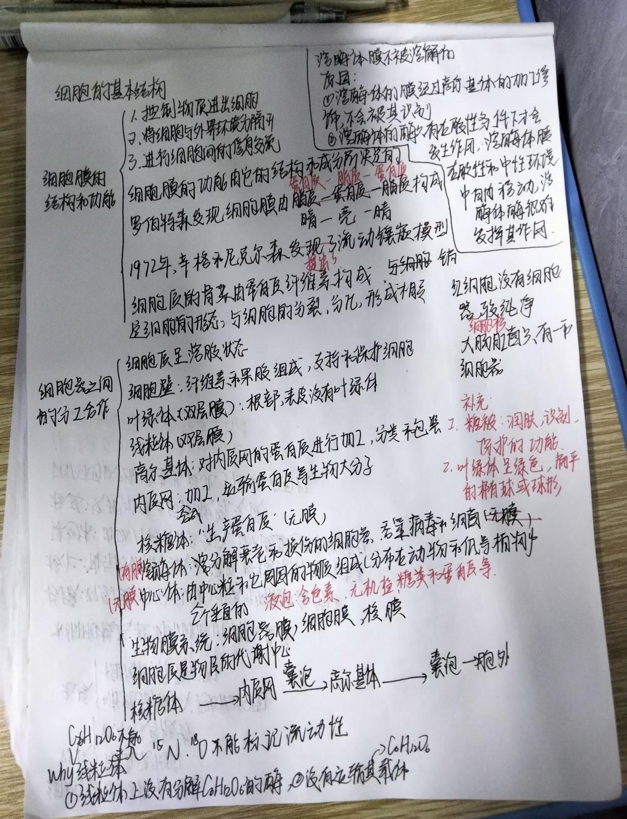 我一定可以上中山大学的！
中山大学