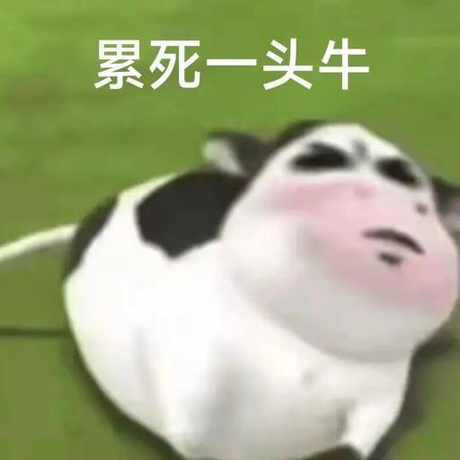 已做好接生双胞胎“黎花黛雨”的准备，嗑一口 