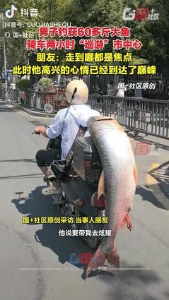 “羡慕坏了！”8月27日江西南昌，一钓鱼佬钓到了一条60多斤的大鱼，乐的嘴角连A