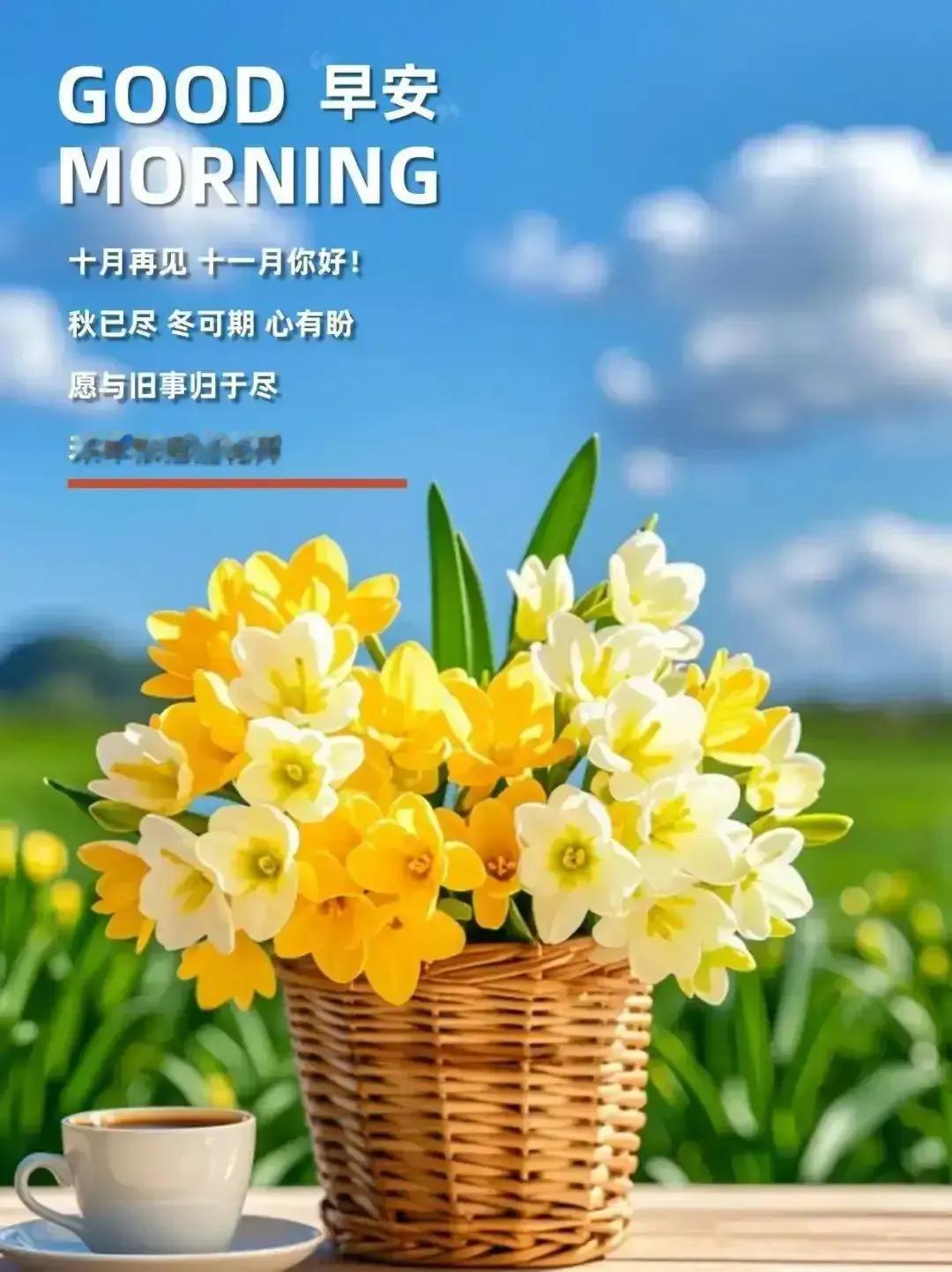 难懂的后现代诗歌，你会读吗。。。
不会读，那就算了。我也是。。。
但我却会写，你