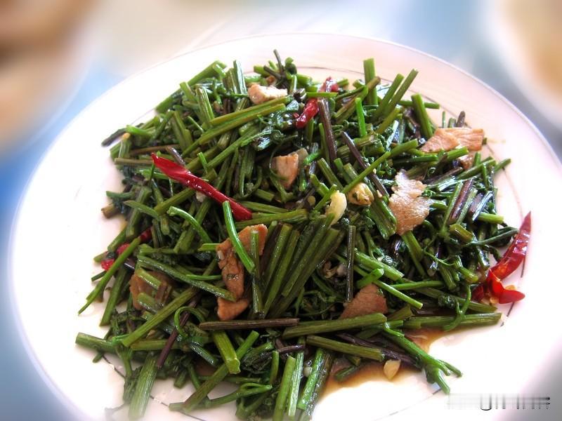 野菜只能偶尔吃吃，不宜长期食用。因为，野菜一是在野外长成，环境不可控，有可能有安