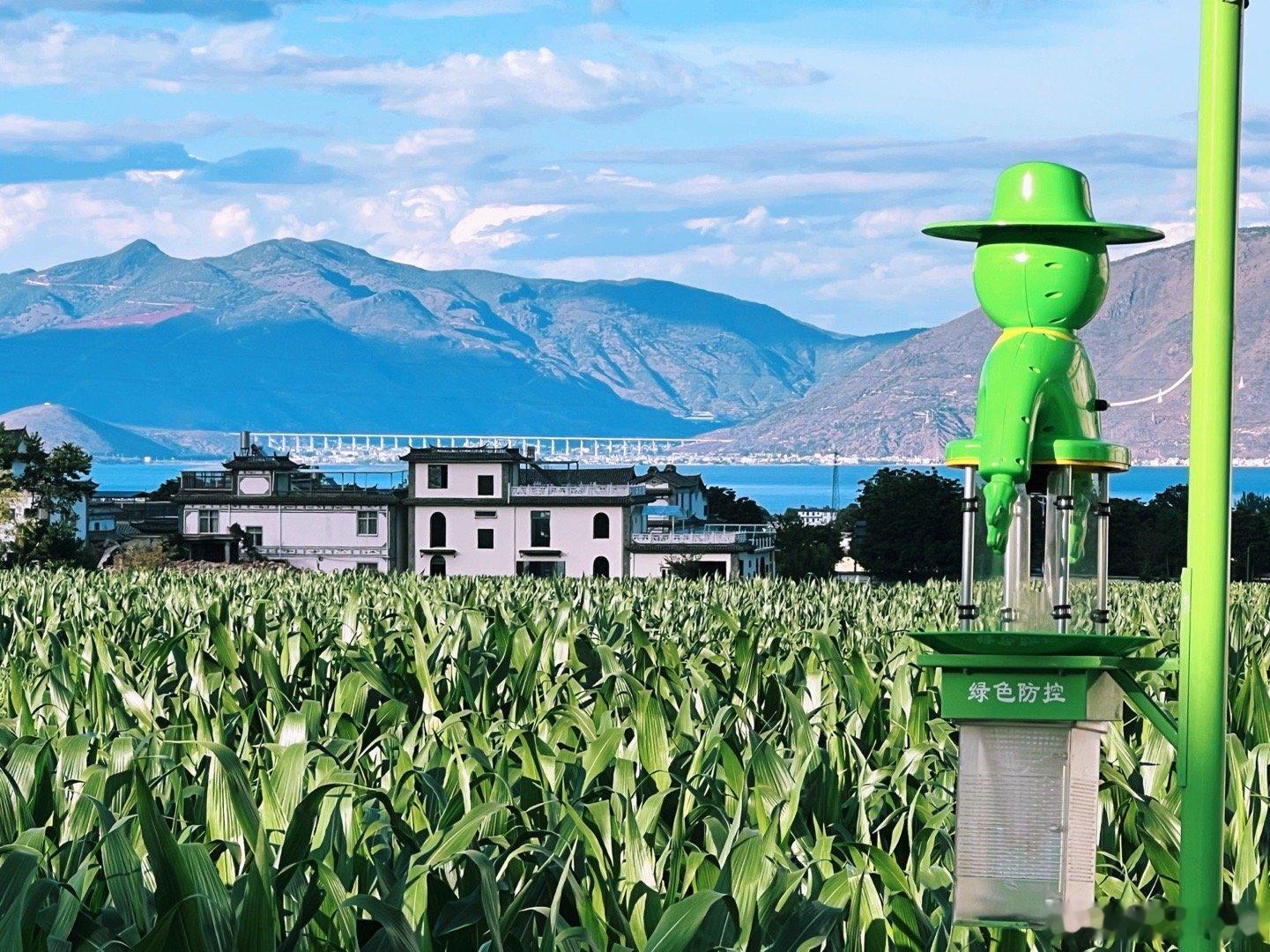 绿巨人远眺洱海此时此刻 20260601。周一。四月十六。六月第一天 ～ 你好六