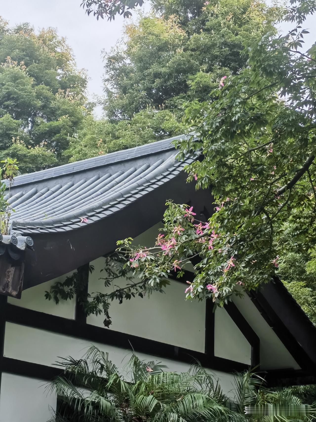生活，就是在平凡中找到独特的闪光，每一天都值得我们去珍视和感悟。